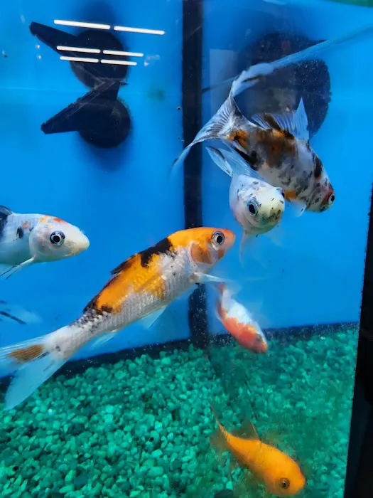 Pet Supermarket Picture 10