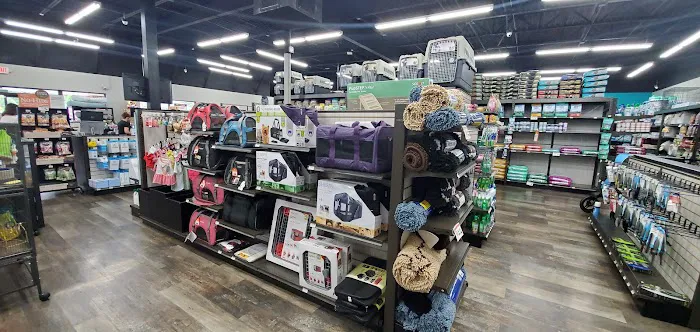 Pet Supermarket Picture 7