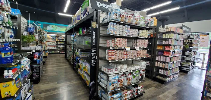 Pet Supermarket Picture 9