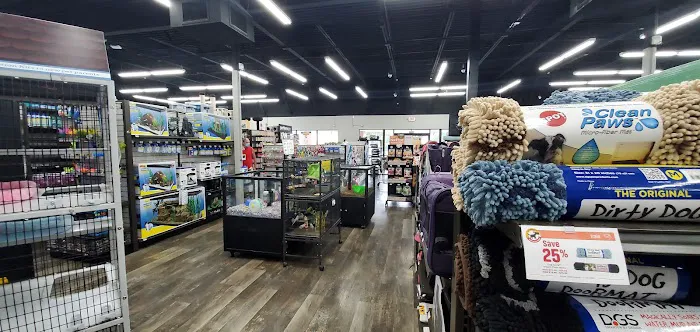 Pet Supermarket Picture 5