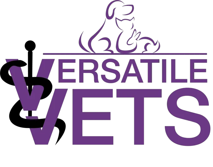 Versatile Vets Picture 5
