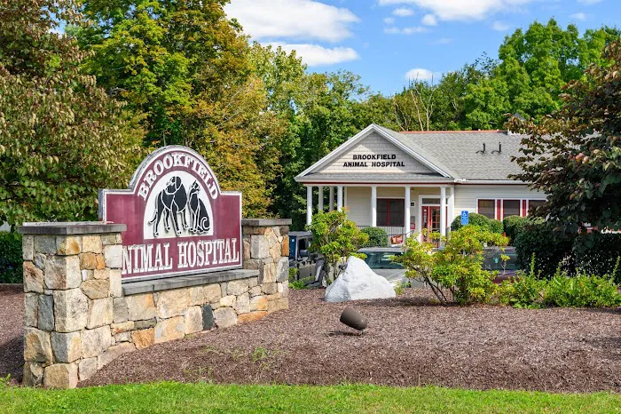 Brookfield Animal Hospital Picture 4
