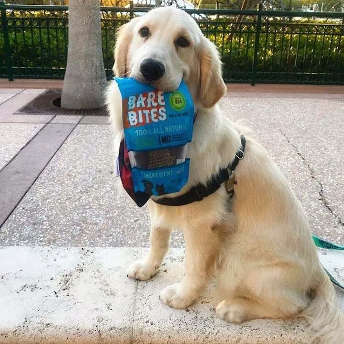 Bare Bites Picture 3