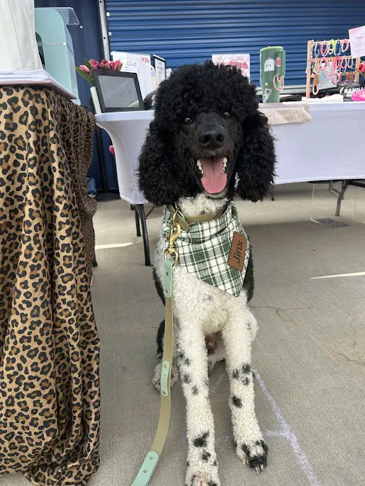 The Leash Lounge Picture 5