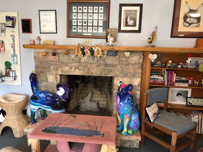 Complete Cat Veterinary Clinic Picture 1