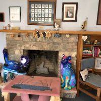 Complete Cat Veterinary Clinic ico