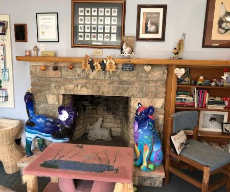 Complete Cat Veterinary Clinic