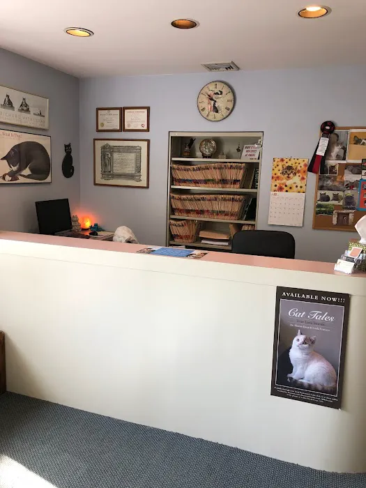 Complete Cat Veterinary Clinic Picture 2
