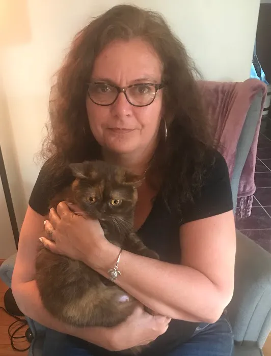 Complete Cat Veterinary Clinic Picture 7