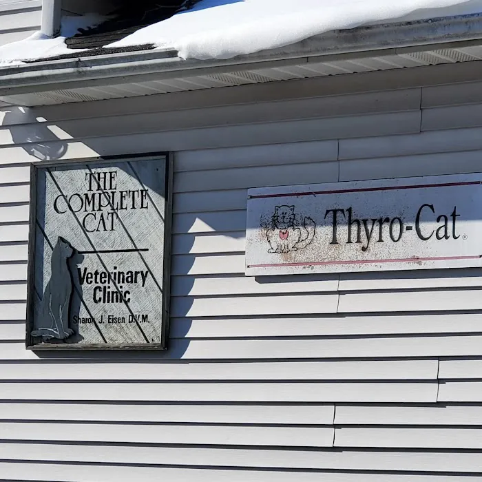 Complete Cat Veterinary Clinic Picture 4