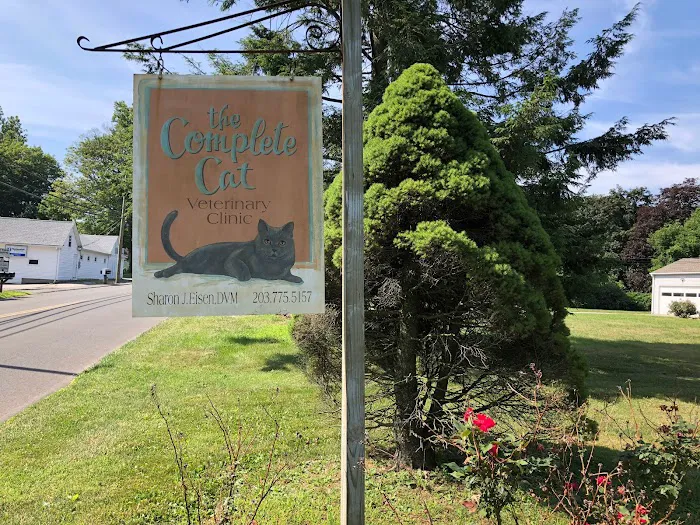 Complete Cat Veterinary Clinic Picture 5