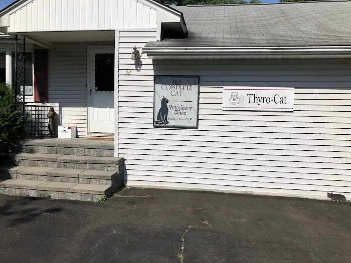 Complete Cat Veterinary Clinic Picture 10