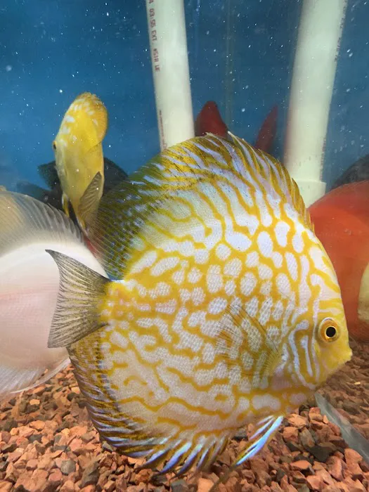 Aqua World Picture 2