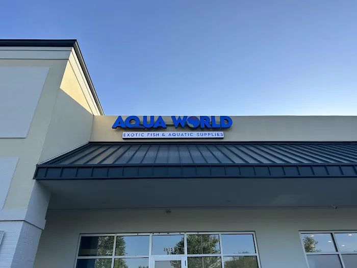 Aqua World Picture 3
