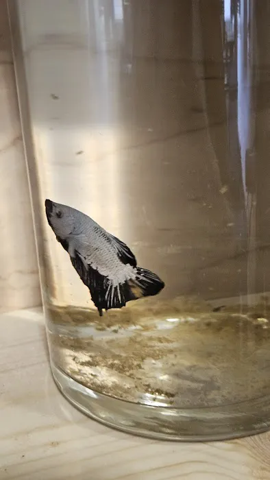 Aqua World Picture 1