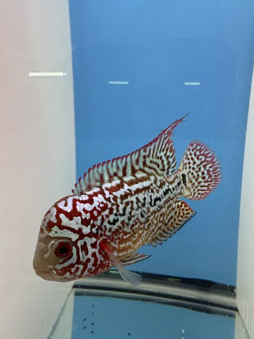 Aqua World Picture 4