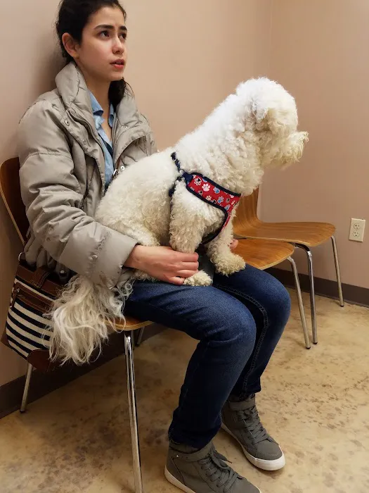 Plumtrees Animal Hospital: Baff Wesley A DVM Picture 1