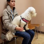 Plumtrees Animal Hospital: Baff Wesley A DVM