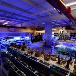 Nemo's Reef