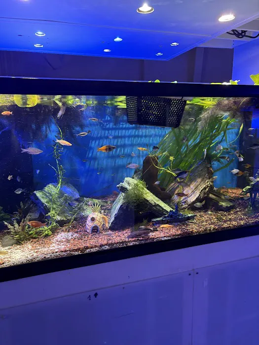 Nemo's Reef Picture 3