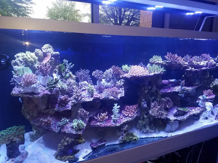 Nemo's Reef Picture 6
