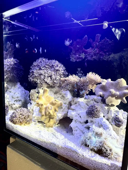 Nemo's Reef Picture 2