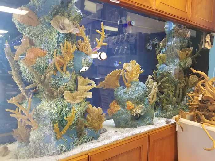 C-MACS Aquarium - CLT Picture 7