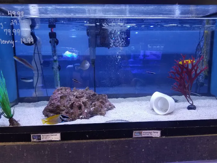 C-MACS Aquarium - CLT Picture 2