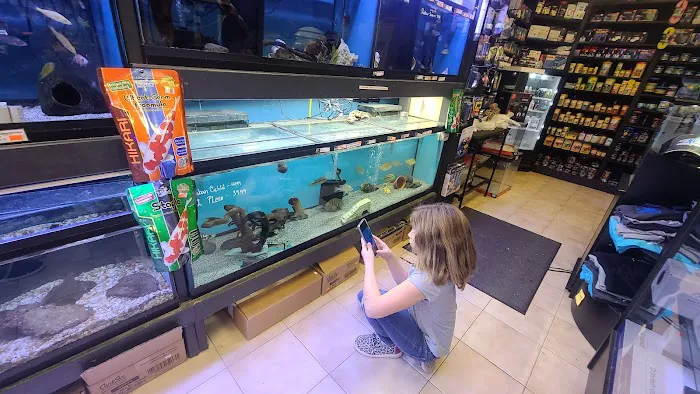 C-MACS Aquarium - CLT Picture 5