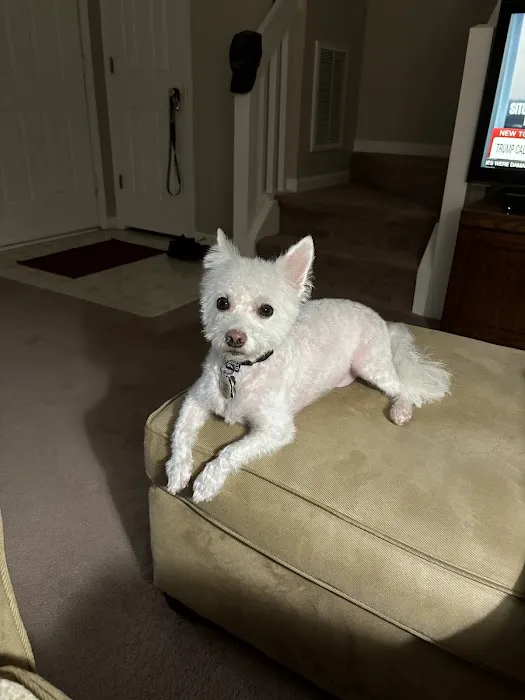 Pet Supplies Plus Charlotte - Pineville Mathews Picture 8