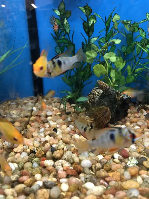 Pet Supplies Plus Charlotte - Pineville Mathews Picture 6