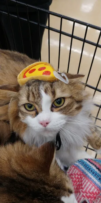 Pet Supplies Plus Charlotte - Pineville Mathews Picture 3