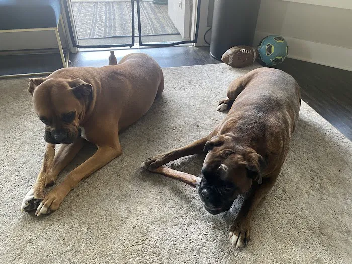 Hollywood Feed Picture 1