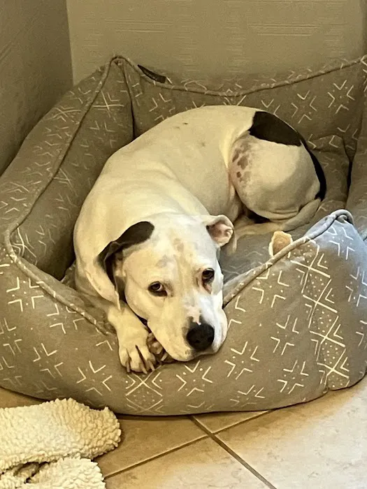 Hollywood Feed Picture 2