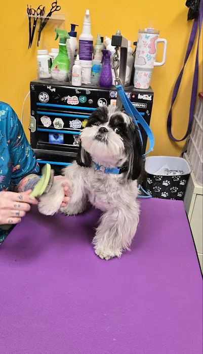 Hollywood Feed Picture 3