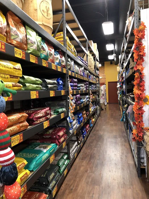 Hollywood Feed Picture 7