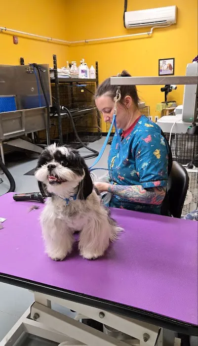 Hollywood Feed Picture 9