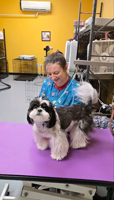 Hollywood Feed Picture 8