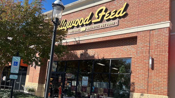 Hollywood Feed Picture 4