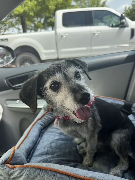 Hollywood Feed Picture 6