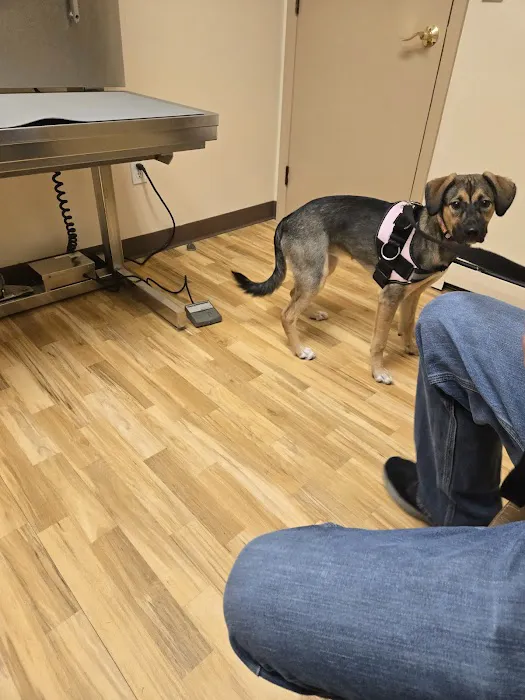 New Milford Animal Hospital: Picture 2