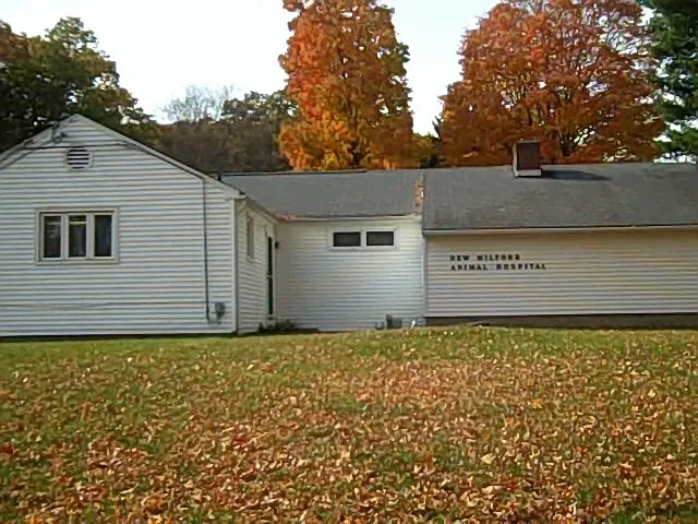 New Milford Animal Hospital: Picture 4