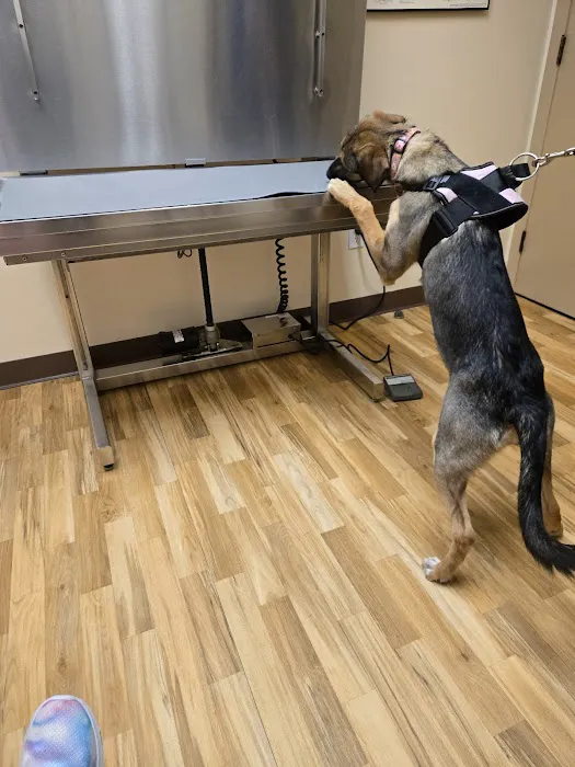 New Milford Animal Hospital: Picture 7