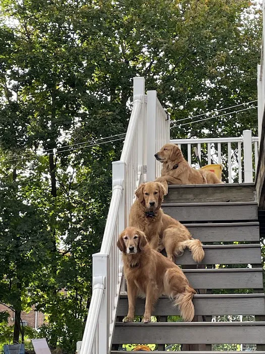 New Milford Animal Hospital: Picture 8