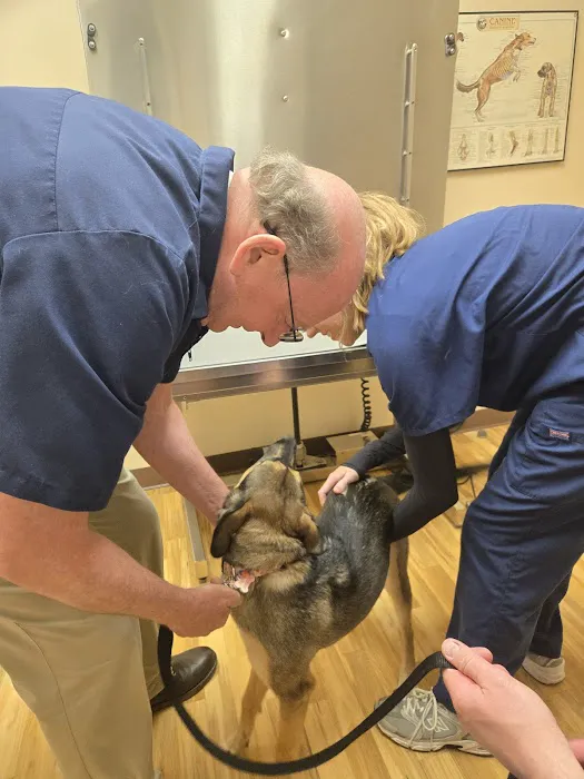 New Milford Animal Hospital: Picture 10