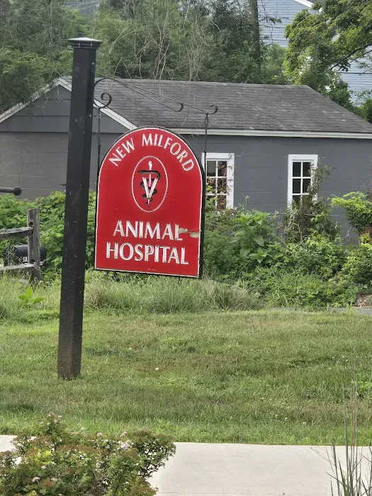 New Milford Animal Hospital: Picture 6