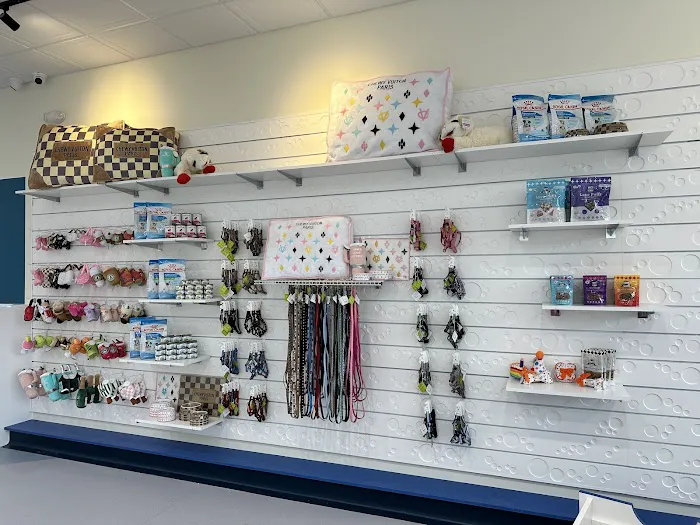 Waggles Charlotte Picture 1