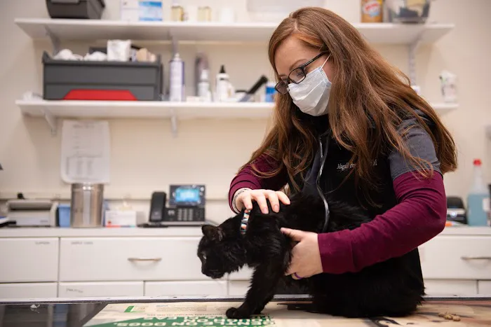 Valley Veterinary Hospital Picture 2