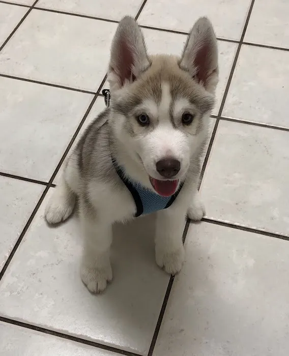 Valley Veterinary Hospital Picture 4