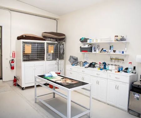 Valley Veterinary Hospital